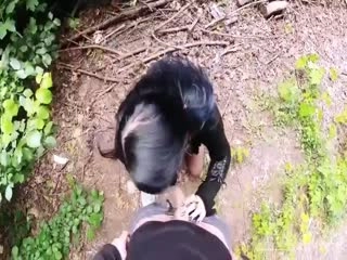 又黄又爽又色的免费视频-完整无删减版BT种子下载