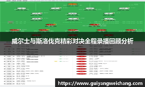 威尔士与斯洛伐克精彩对决全程录播回顾分析